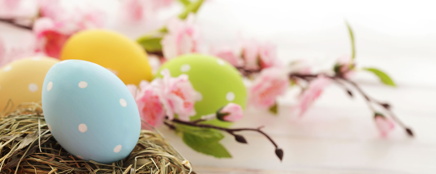 Frohe Ostern